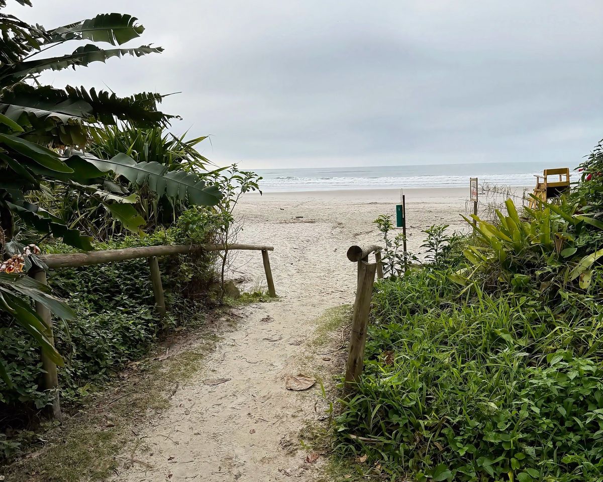 Caminho de acesso à Praia de Itamambuca, cercado pela Mata Atlântica